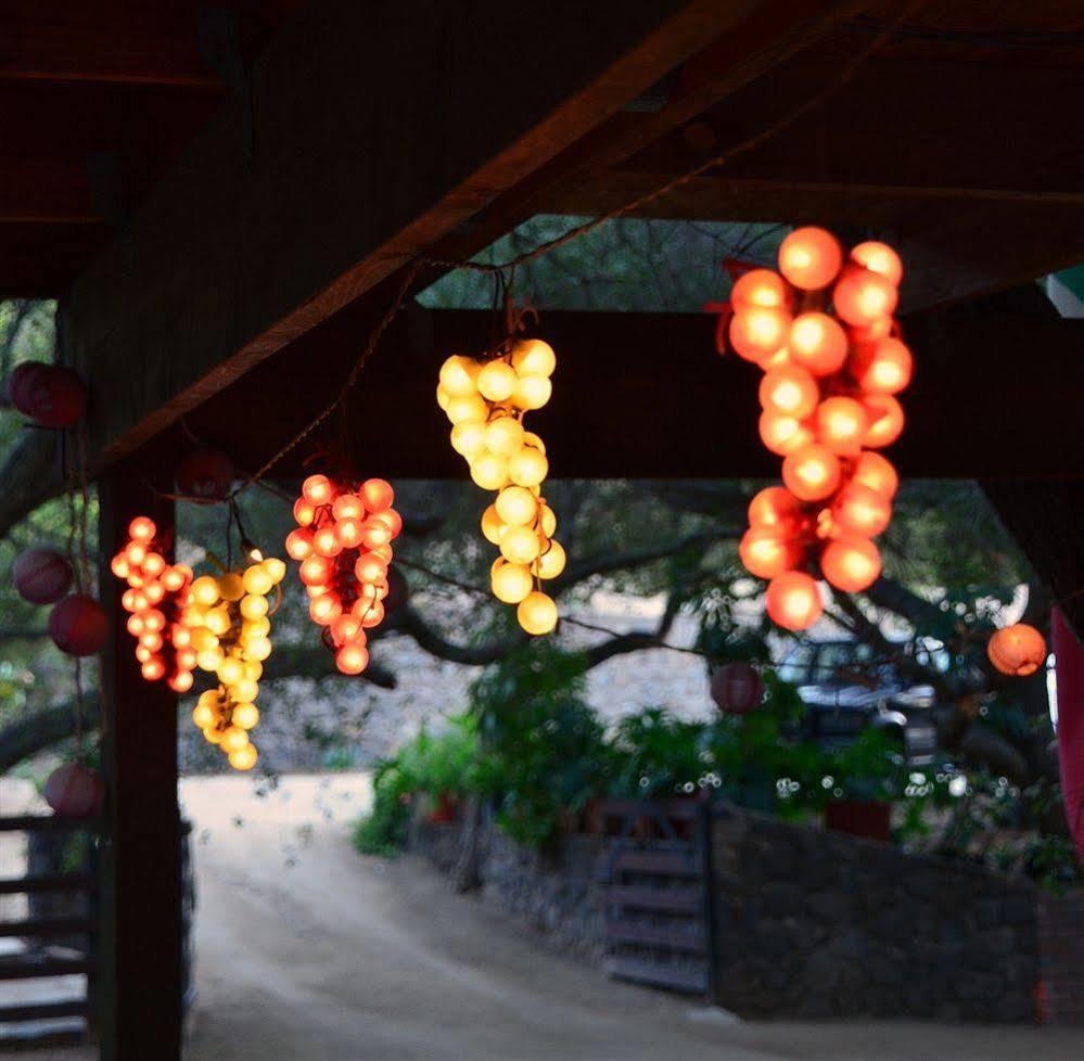 Casa Encinares Hotel Valle de Guadalupe Exterior photo